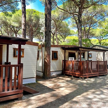 Buona Mobile Homes On Camping Mare E Pineta ลิโดดิสปีนา ภายนอก รูปภาพ