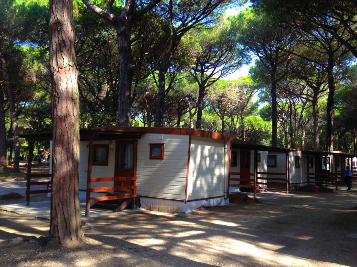 Buona Mobile Homes On Camping Mare E Pineta ลิโดดิสปีนา ภายนอก รูปภาพ