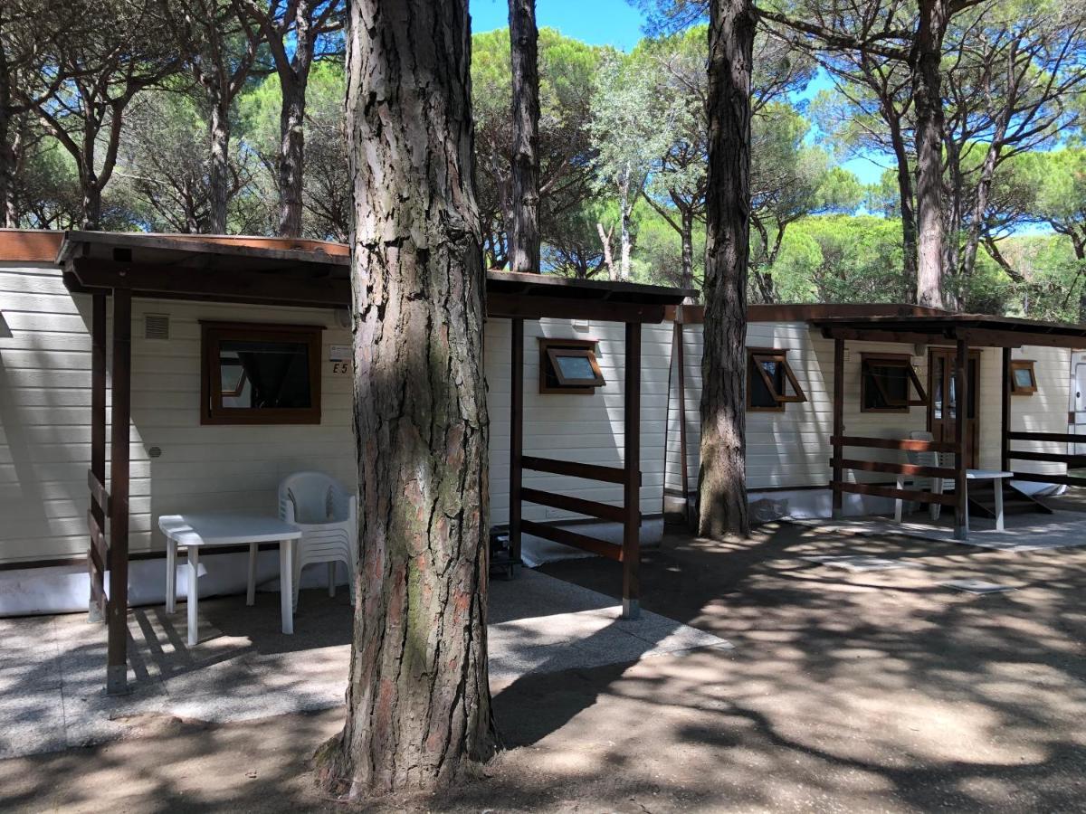Buona Mobile Homes On Camping Mare E Pineta ลิโดดิสปีนา ภายนอก รูปภาพ