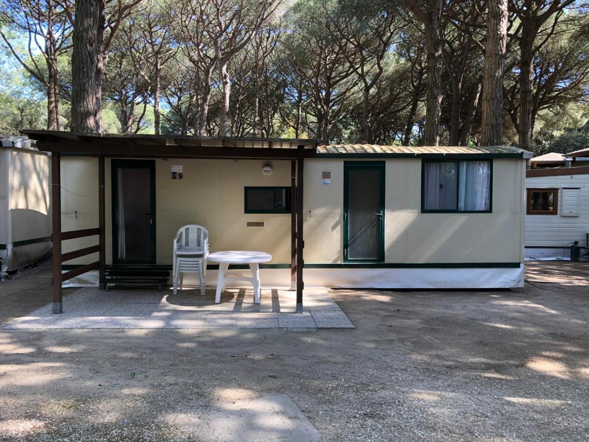 Buona Mobile Homes On Camping Mare E Pineta ลิโดดิสปีนา ภายนอก รูปภาพ