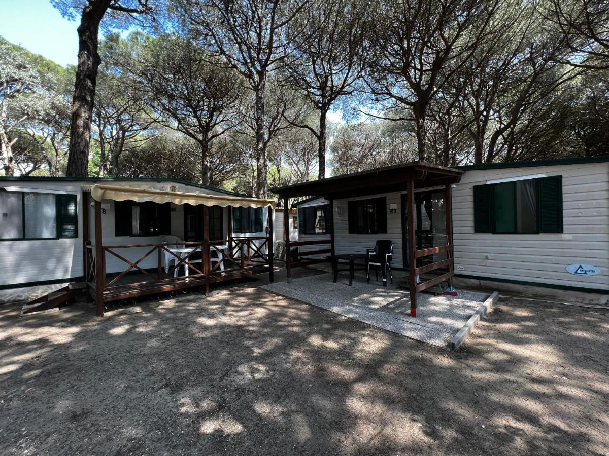 Buona Mobile Homes On Camping Mare E Pineta ลิโดดิสปีนา ภายนอก รูปภาพ